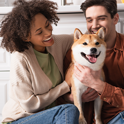 Pet