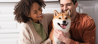 Pet Insurance